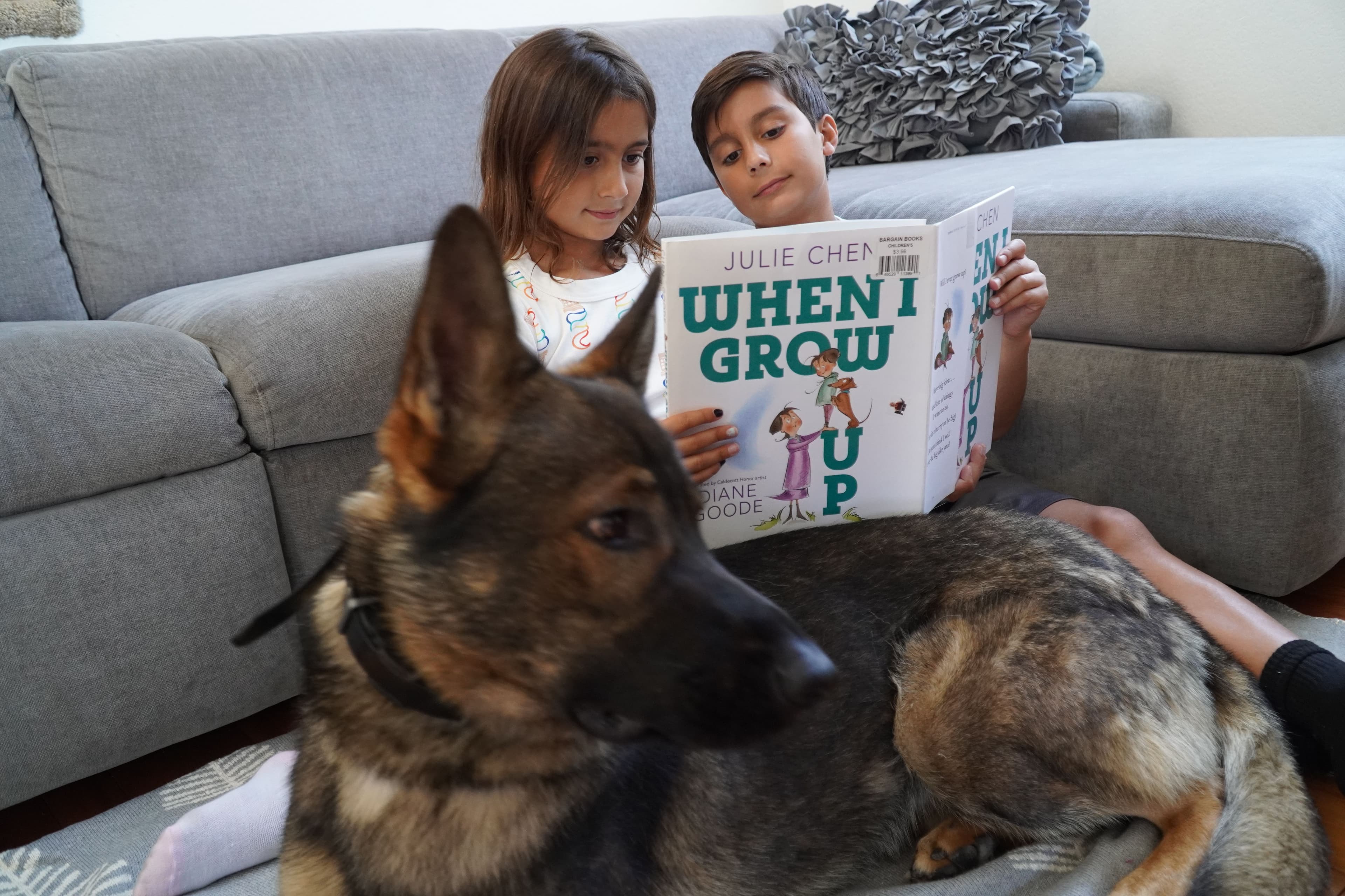 Two children reading on a sofa with a German Shepherd in the foreground.