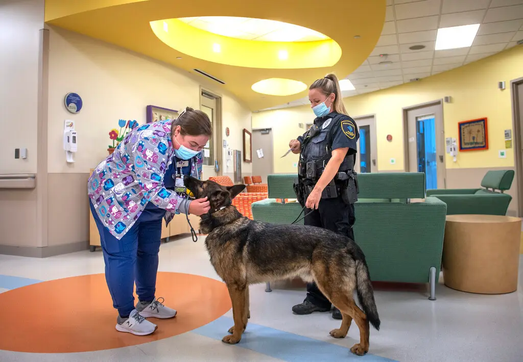 Security for Healthcare Facilities - K9XFactor